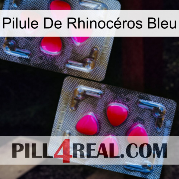 Pilule De Rhinocéros Bleu 15